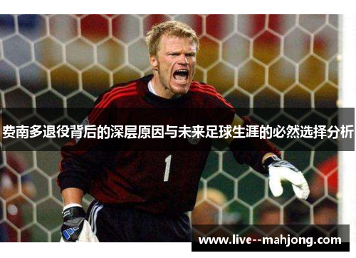 费南多退役背后的深层原因与未来足球生涯的必然选择分析